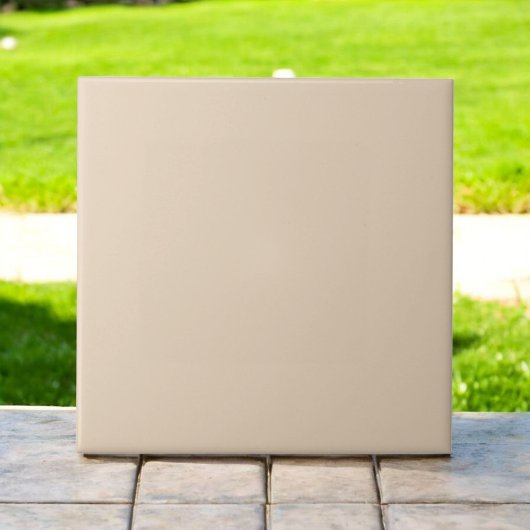 エレガントモノクロパテモダンアーストーン タイル