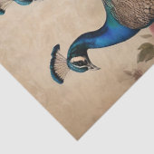 エレガントヴィンテージビクトリアンボホピーコック 薄葉紙 (詳細)