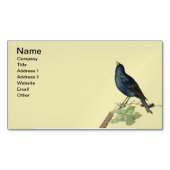 エレガントヴィンテージブラックバードイエロー マグネット名刺 (正面)