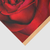 エレガントヴィンテージミュージックレッドローズティッシュペーパー 薄葉紙 (詳細)