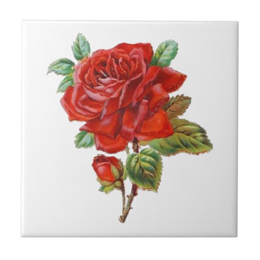 エレガントヴィンテージレッドローズホームデカール タイル (正面)