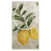 エレガントヴィンテージレモン – 編集可能素朴抱き枕 スモールペーパーバッグ (裏面)