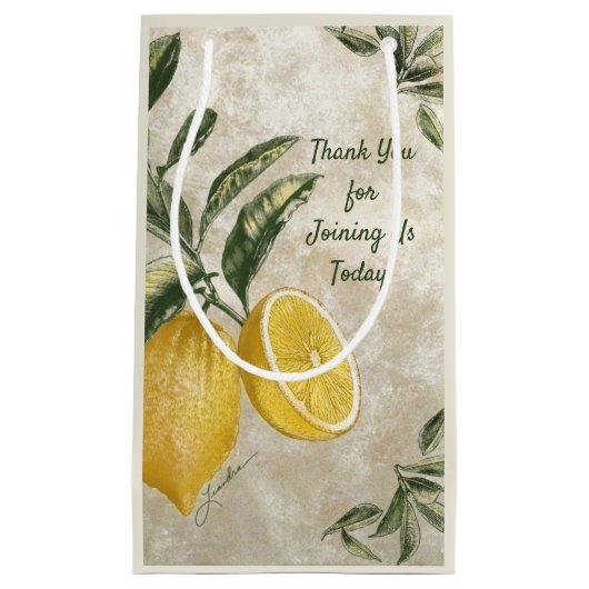 エレガントヴィンテージレモン – 編集可能素朴抱き枕 スモールペーパーバッグ (正面)