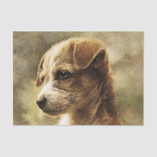 エレガントヴィンテージ子犬の写真ティッシュペーパー 薄葉紙 (正面)