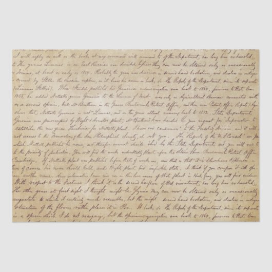 エレガントヴィンテージ手書き文字スクリプト 薄葉紙 (正面)