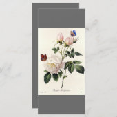 エレガントヴィンテージ植物学図鑑 プログラム (正面/裏面)