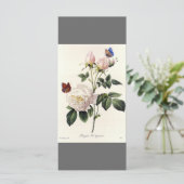 エレガントヴィンテージ植物学図鑑 プログラム (スタンド正面)