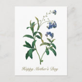 エレガントヴィンテージ植物忘れ私は花ではない ポストカード (正面)