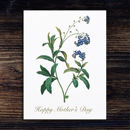 エレガントヴィンテージ植物忘れ私は花ではない ポストカード