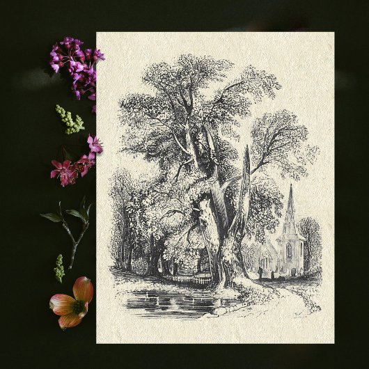 エレガントヴィンテージ白黒教会イングリッシュカントリー ポストカード