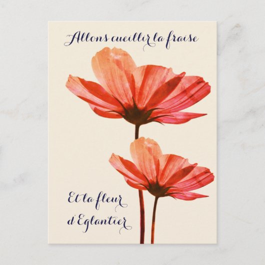 エレガントヴィンテージ花付春フランスの引用文 ポストカード (正面)