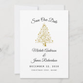 エレガント冬のホリ結婚デイ セーブザデート (正面)