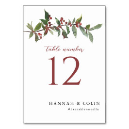 エレガント冬の果実の赤い緑の水色 テーブルナンバー