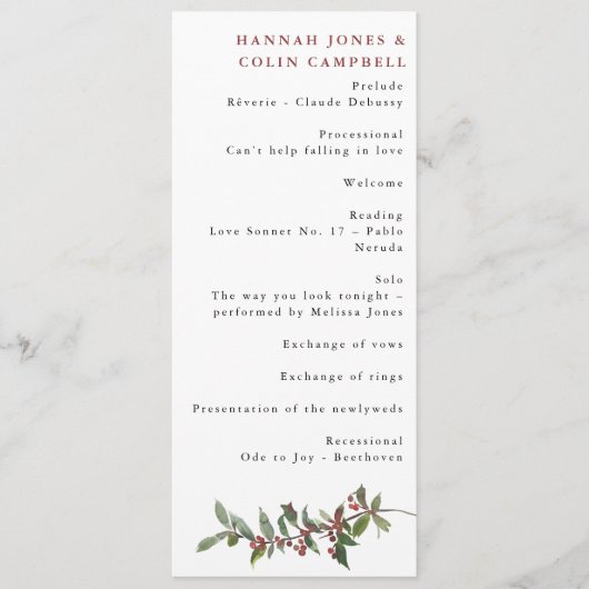 エレガント冬の果実の赤い緑の水色 プログラム (正面)