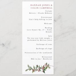 エレガント冬の果実の赤い緑の水色 プログラム