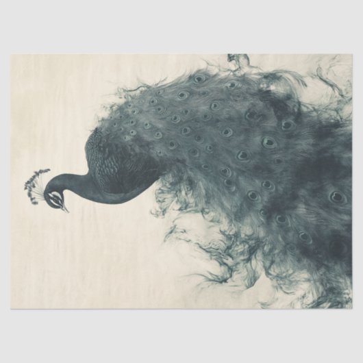 エレガント孔雀の鳥類学インスパイア分離芸術 薄葉紙 (正面)