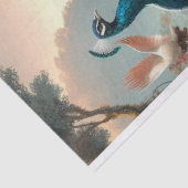 エレガント孔雀フローラデクページティッシュペーパー 薄葉紙 (詳細)