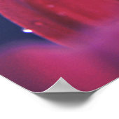 エレガント抽象芸術の水滴がピンクの花の花びら ポスター (角)