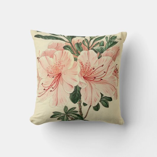 エレガント桃ヴィンテージフローラホームデコ枕 クッション (正面)