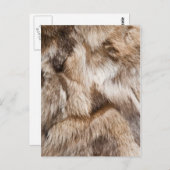 エレガント毛テクスチャ ポストカード (正面/裏面)