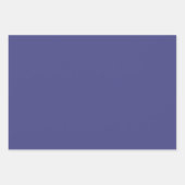 エレガント深いパープルグレーミニマルでシック ラッピングペーパーシート (正面)