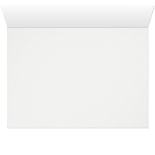 エレガント白モダン銀フェイク文ストライプの (内部横(下))