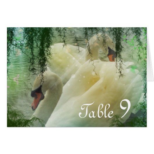 エレガント白白鳥の夏結婚湖 (正面横)