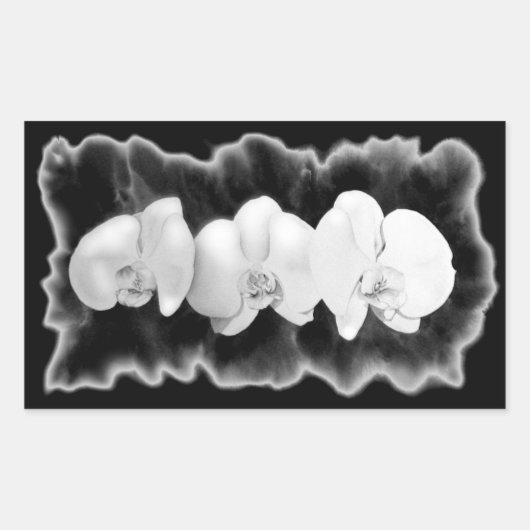 エレガント白黒の水の色の蘭 長方形シール (正面)