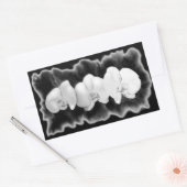 エレガント白黒熱帯蘭フローラ 長方形シール (封筒)