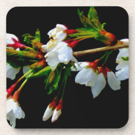 エレガント白黒開花白い花 コースター