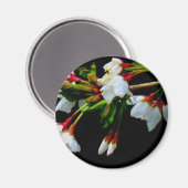 エレガント白黒開花白い花 マグネット (正面/裏面)