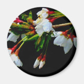 エレガント白黒開花白い花 マグネット (正面)