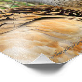 エレガント砂丘ク素晴らしレンの輪郭 フォトプリント            (角)