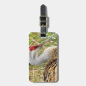 エレガント砂丘ク素晴らしレンの輪郭 ラゲッジタグ (正面縦)