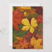 エレガント秋の結婚式招待状 招待状 (裏面)