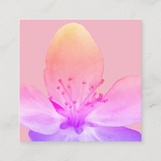 エレガント素晴らし名刺 スクエア名刺 (裏面)