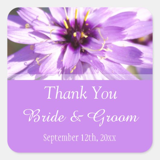 エレガント紫かわいらしデイジーお感謝してい前 スクエアシール (正面)