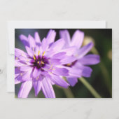 エレガント紫かわいらしデイジー花の夏結婚の 招待状 (裏面)