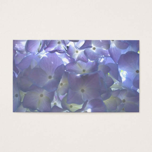 エレガント紫紫紫紫紫紫紫紫紫陽花 (正面)