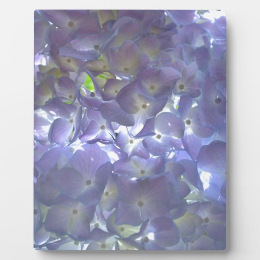 エレガント紫紫紫紫紫紫紫紫紫陽花 フォトプラーク (正面)