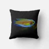 エレガント装飾用クッション-カラフル魚 クッション (裏面)