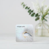 エレガント貝類熱帯性 スクエア名刺 (スタンド正面)