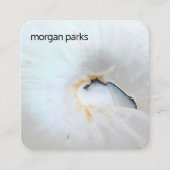 エレガント貝類熱帯性 スクエア名刺 (正面)