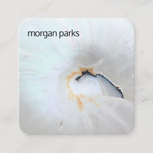 エレガント貝類熱帯性 スクエア名刺 (正面)