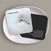 エレガント貝類熱帯性 スクエア名刺