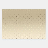 エレガント金ゴールドシルバーおよびバラ金ゴールド水玉模様 ラッピングペーパーシート (正面2)