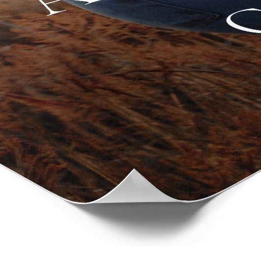 エレガント金ゴールドスクリプ結婚ト写真 ポスター (角)