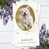 エレガント金ゴールドスターカスタムズ写真QRソーシャルメディア 名刺