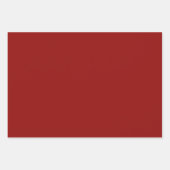 エレガント金ゴールドストライプレッドグリーンクリスマス ラッピングペーパーシート (正面2)