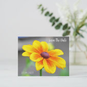 エレガント黄独身のオレンジダリアフラワー救 シーズンカード (スタンド正面)